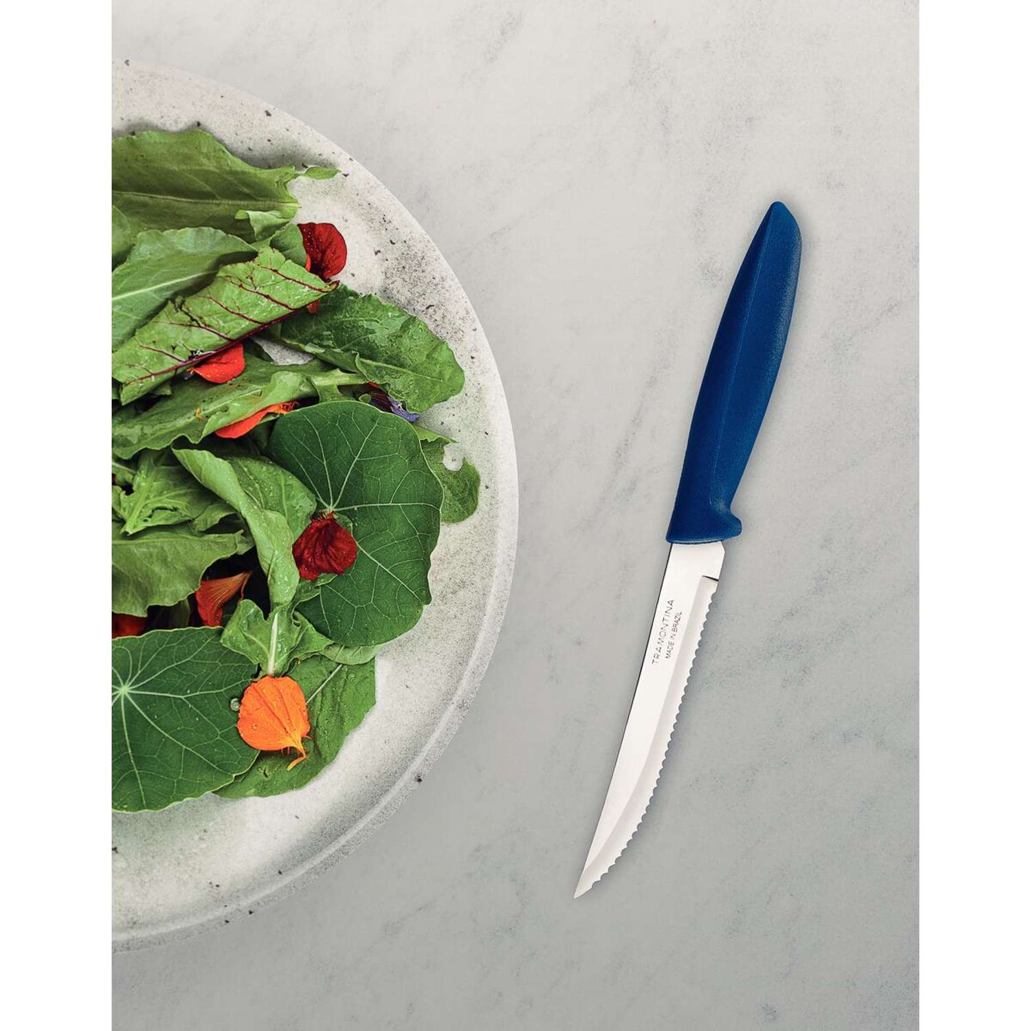 Tramontina 6 Pcs. Fruit/Tomato Knife Set (Pointed tip, Blue) - Image 3