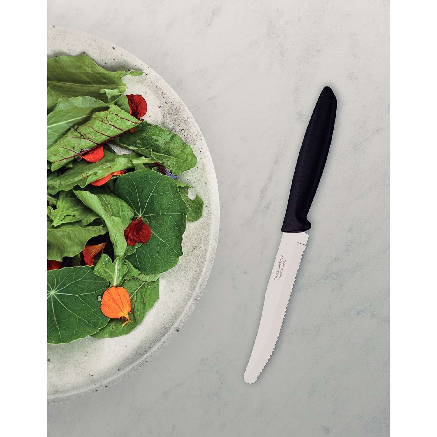 Tramontina 6 Pcs. Fruit/Tomato Knife Set (Rounded tip, Black) - Image 3