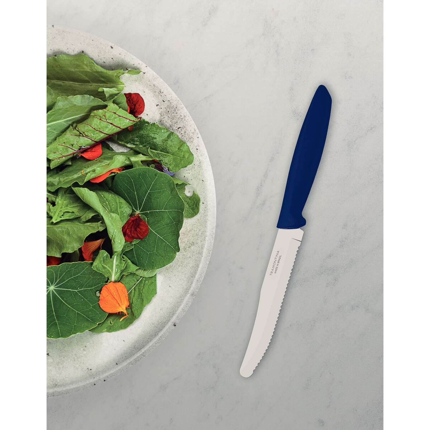 Tramontina 6 Pcs. Fruit/Tomato Knife Set (Rounded tip, Blue) - Image 3