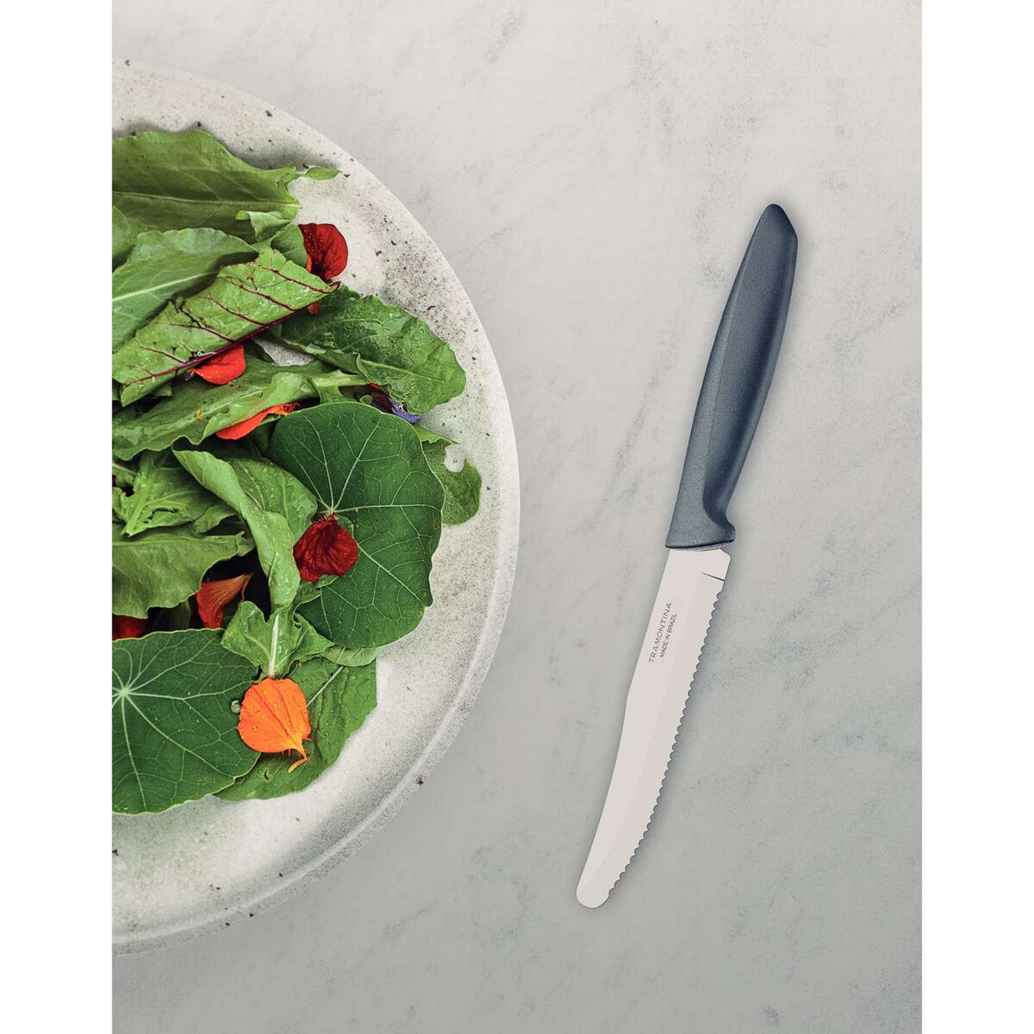 Tramontina 6 Pcs. Fruit/Tomato Knife Set (Rounded tip, Grey) - Image 3